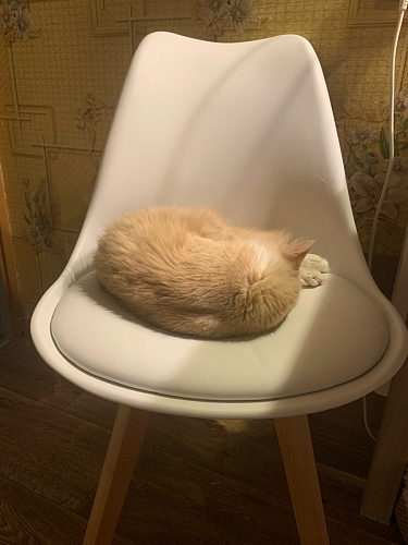 Стул Bonus черный / черный фото покупателя 2