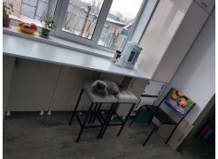 Барный стул Лофт кожзам темно-серый / черный матовый фото покупателя 231