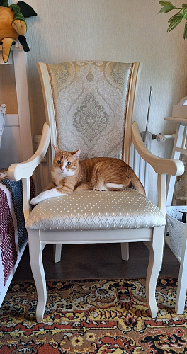 Кресло Линет ткань tenerife silver / бежевый фото покупателя 5