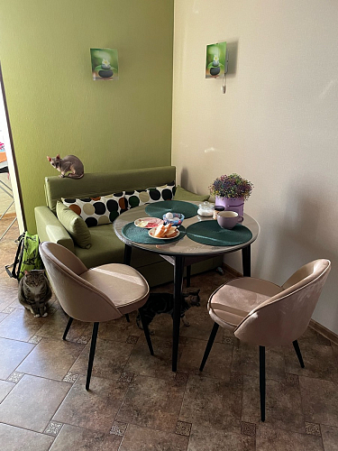 Стул Dodo синий фото покупателя 1