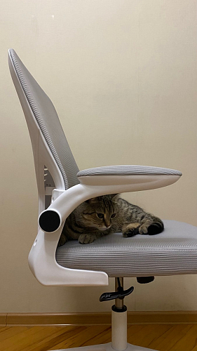 Компьютерное кресло Konfi light gray / blue / white фото покупателя 235