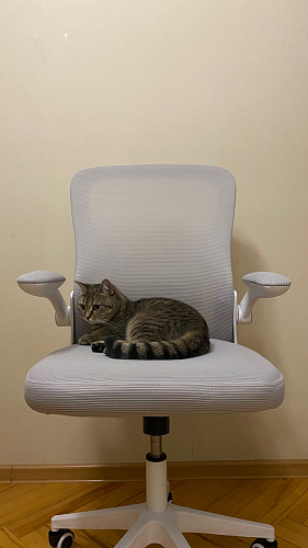 Компьютерное кресло Konfi pink / white фото покупателя 234