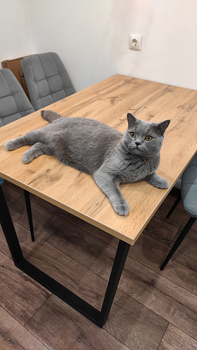 Стол Лота Лофт 140 25 мм черный матовый / бетон фото покупателя 1024