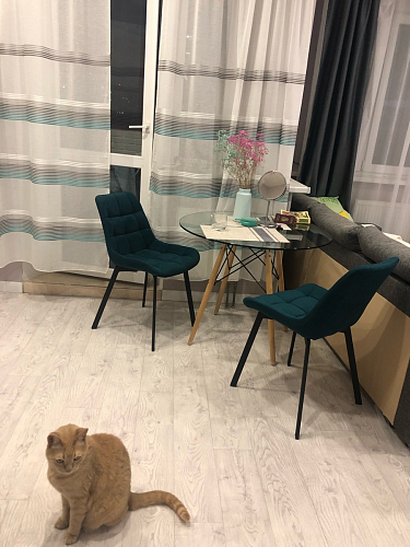 Стул на металлокаркасе Челси бирюзовый / черный фото покупателя 175