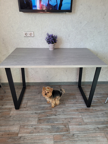 Деревянный стол Лота Лофт 120х75 белый матовый / дуб крафт золотой фото покупателя 103