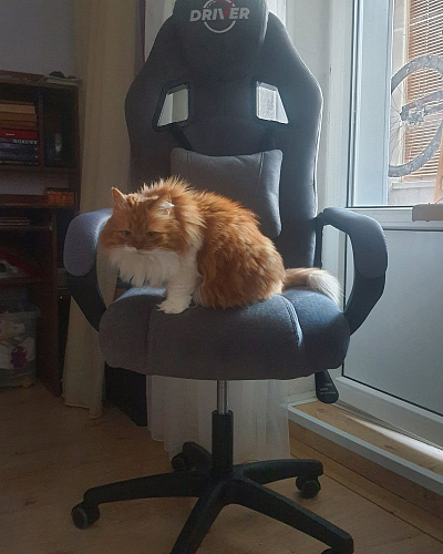 Компьютерное кресло Driver/Драйвер кожзам черный / ткань черный фото покупателя 23