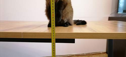 Деревянный стол Лота Лофт 140х80 черный матовый / бетон светлый фото покупателя 263