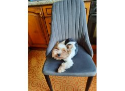 Стул на металлокаркасе Kora gray / black фото покупателя 179