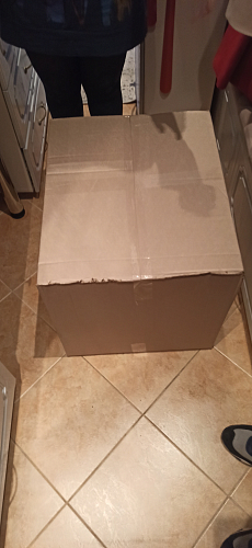 Банкетка Беттино белый / бежевый фото покупателя 2