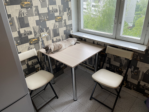 Стул на металлокаркасе Elevis зеленый / черный фото покупателя 4