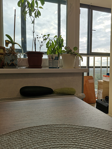 Деревянный стол Лота Лофт 120х75 белый матовый / дуб крафт золотой фото покупателя 859