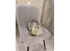 Стул на металлокаркасе Дани 01 светло-серый / черный фото покупателя 45