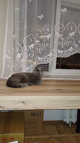 Стол Оригон делано / черный матовый фото покупателя 36