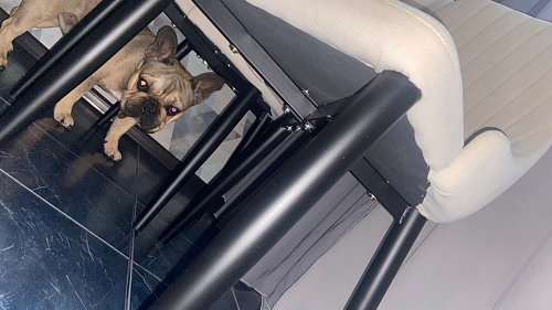 Стул на металлокаркасе Kora green / black фото покупателя 115