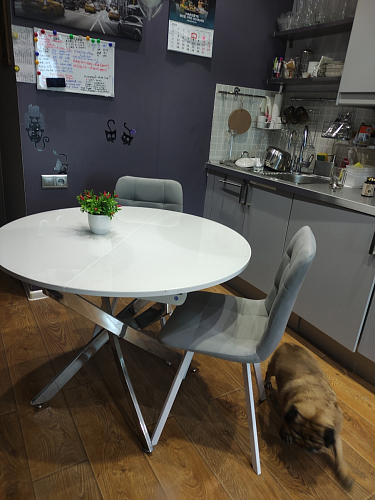 Стул на металлокаркасе Чилли К черный / зеленый фото покупателя 345