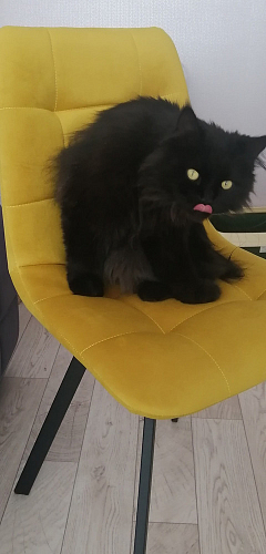 Стул на металлокаркасе Чилли зеленый / белый каркас фото покупателя 688