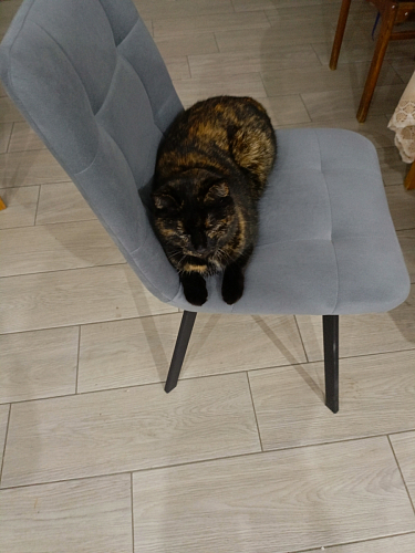 Стул на металлокаркасе Чилли зеленый / белый каркас фото покупателя 526