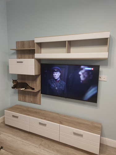 Готовая гостиная Глейс ТБ-200 дуб серый / белый глянец фото покупателя 2