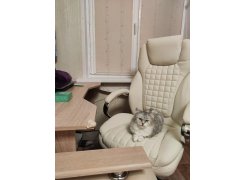 Компьютерное кресло Herd cream фото покупателя 94