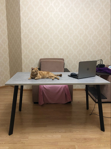 Стол Тринити Лофт 120 32 мм бетон / черный матовый фото покупателя 306