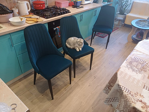 Стул на металлокаркасе Kora light blue / white фото покупателя 397