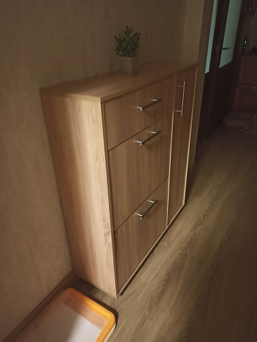 Обувница ТП-4 дуб сонома - Уцененный экземпляр фото покупателя 33