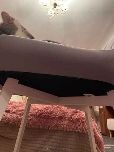 Стул на металлокаркасе Челси бежевый / черный фото покупателя 131