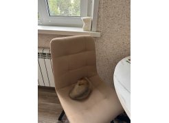 Стул на металлокаркасе Чилли синяя ткань / белый фото покупателя 184