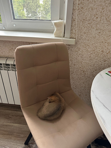 Стул на металлокаркасе Чилли зеленый / белый каркас фото покупателя 184