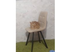 Стул на металлокаркасе Чилли горчичный / белый фото покупателя 600