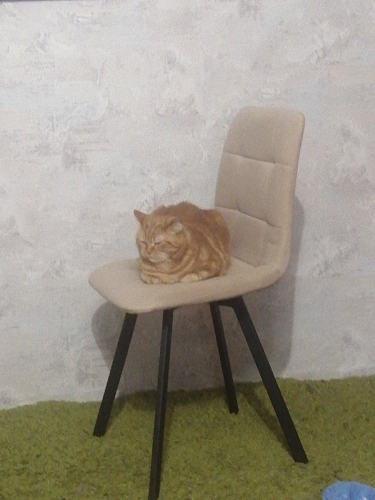 Комплект стульев Чилли 2 шт бежевый / черный фото покупателя 600