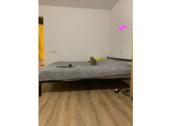 Односпальная кровать Фади 80х200 черная фото покупателя 670