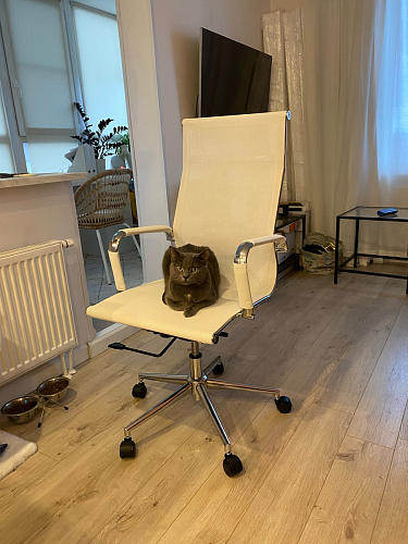 Компьютерное кресло Reus черная сетка / хром фото покупателя 32