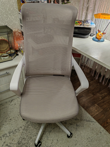 Компьютерное кресло Rino light gray / black фото покупателя 2