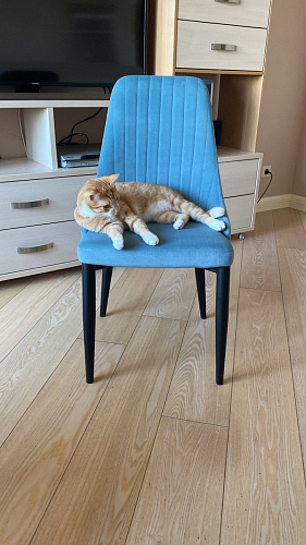 Стул на металлокаркасе Kora white / gray фото покупателя 111