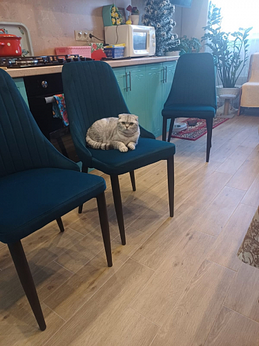 Стул на металлокаркасе Kora gray / black фото покупателя 398