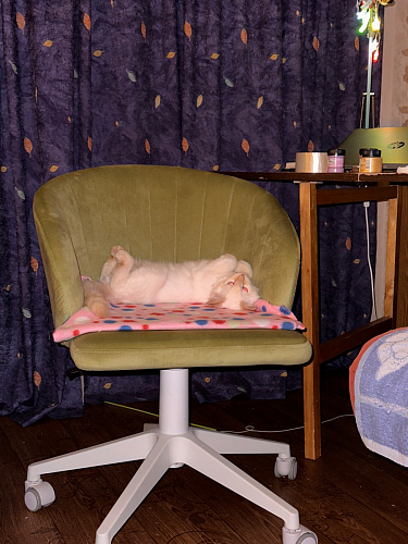 Компьютерное кресло Пард экокожа белый фото покупателя 55