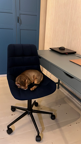 Компьютерное кресло Честер экокожа бежевая / белый фото покупателя 16