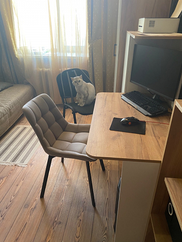 Стул на металлокаркасе Челси бежевый / белый каркас фото покупателя 173