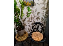 Стул One PC-015 белый фото покупателя 85