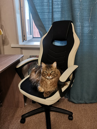 Компьютерное кресло Gamer черное / бежевое фото покупателя 27