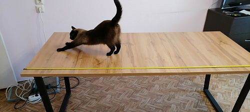 Деревянный стол Лота Лофт 120x75 дуб крафт табачный / черный матовый фото покупателя 324