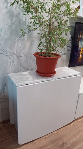 Стол обеденный раздвижной СтК7 дуб молочный фото покупателя 43