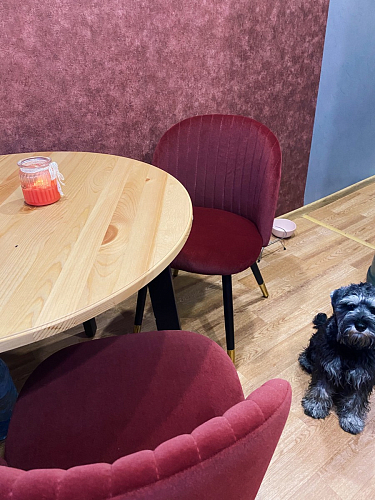 Стул на металлокаркасе Gabi 1 light purple / black / gold фото покупателя 2