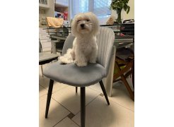 Стул на металлокаркасе Gabi 1 gray / black фото покупателя 915