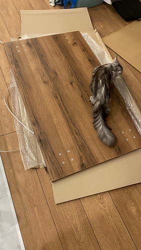 Стол Тринити Лофт 140 25 мм дуб делано темный / белый фото покупателя 102