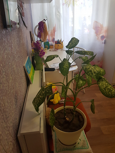 Стол-книжка СтК4 белый фото покупателя 9