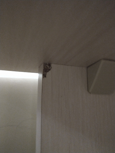 Стол письменный Kiwi дуб сонома фото покупателя 86