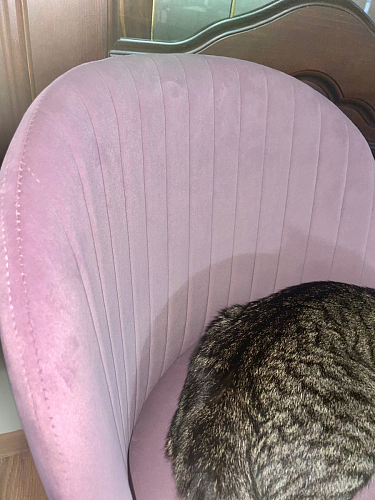 Стул на металлокаркасе Gabi dark beige / black / silver фото покупателя 763