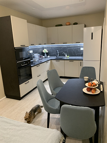 Стул на металлокаркасе Kora green / black фото покупателя 468